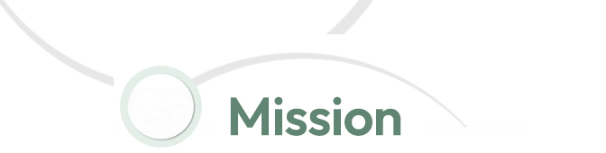 Misión