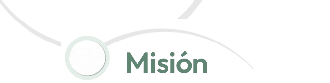 Misión