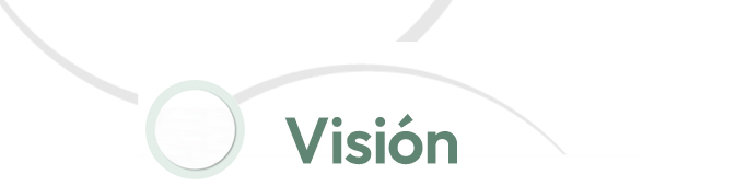 Visión